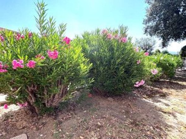 appartamento in vendita a Livorno in zona Antignano