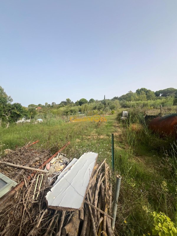 terreno agricolo in vendita a Livorno in zona Limoncino