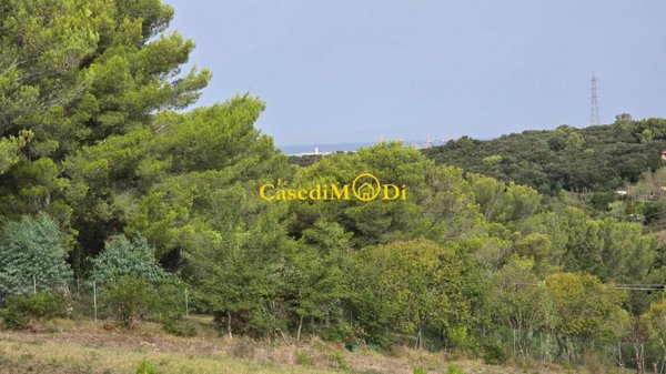 terreno agricolo in vendita a Livorno in zona Lazzaretto