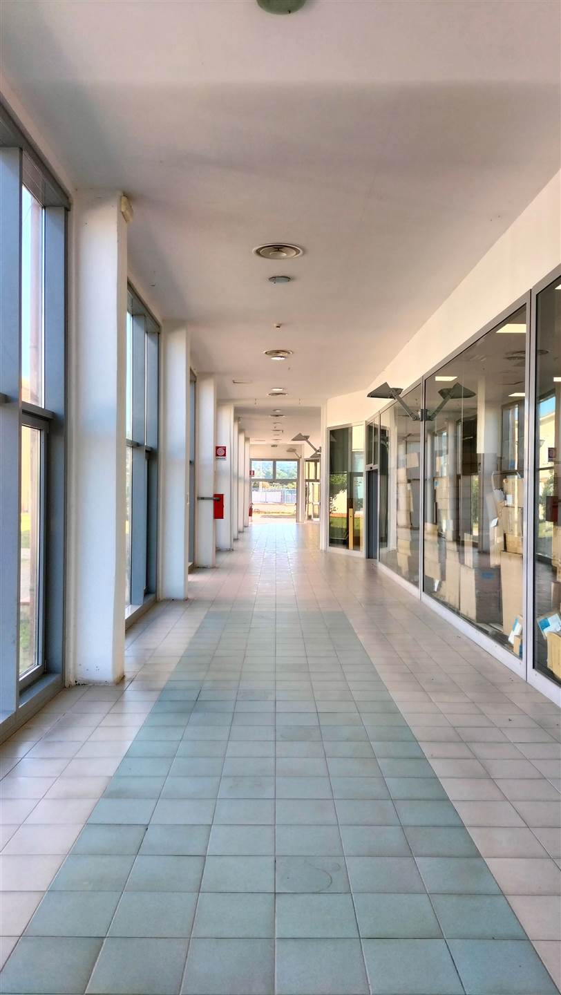 locale commerciale in vendita a Livorno in zona Collinaia