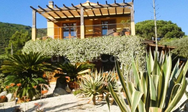 appartamento in vendita a Marciana
