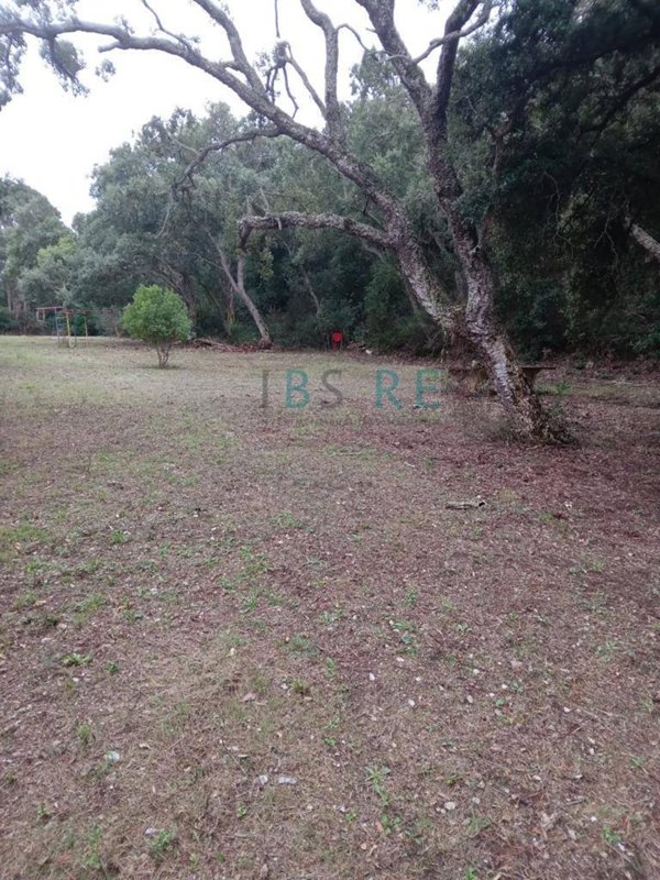locale di sgombero in vendita a Marciana