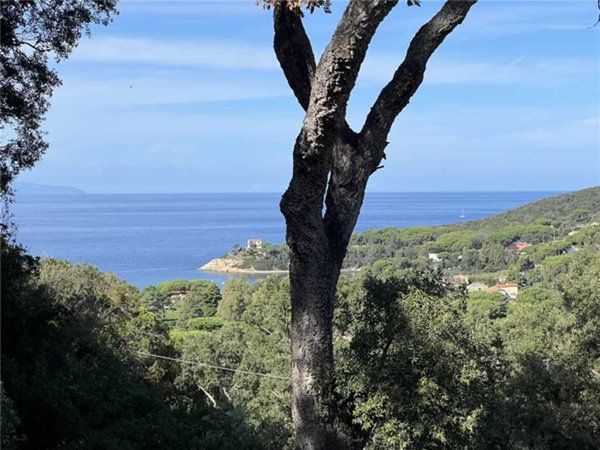 casa indipendente in vendita a Marciana