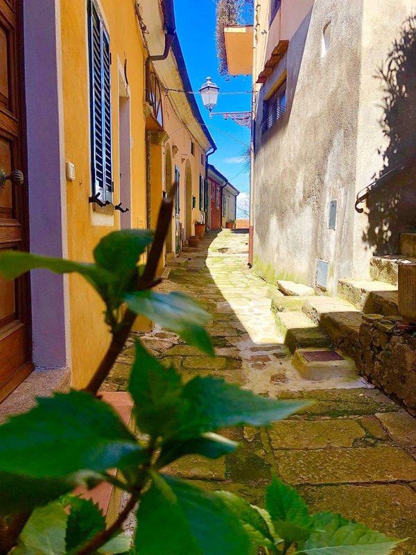 appartamento in vendita a Marciana