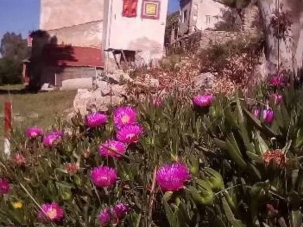 appartamento in vendita a Marciana