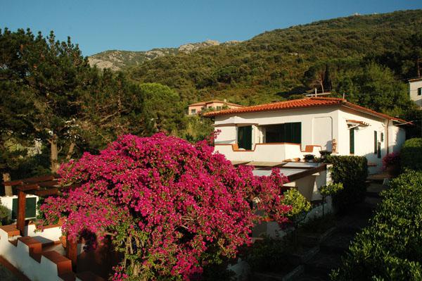 casa indipendente in vendita a Marciana