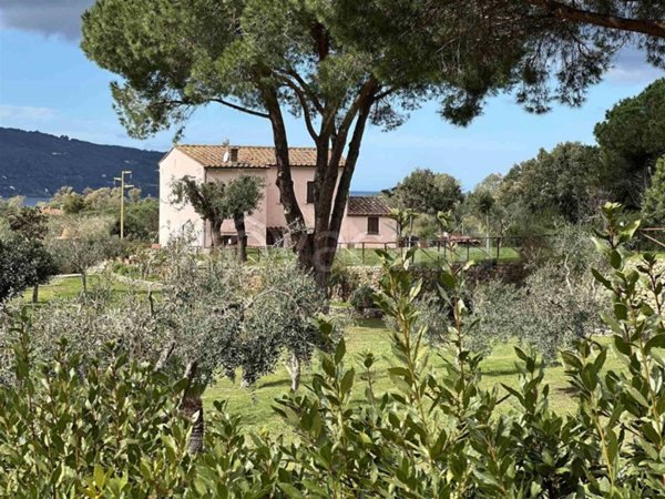casa indipendente in vendita a Marciana