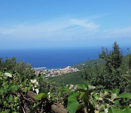 monolocale in vendita a Marciana