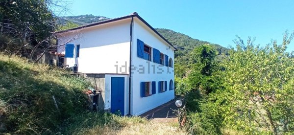pentavano in vendita a Marciana