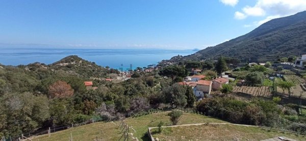 pentavano in vendita a Marciana