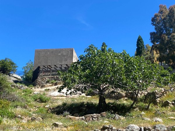 terreno agricolo in vendita a Marciana