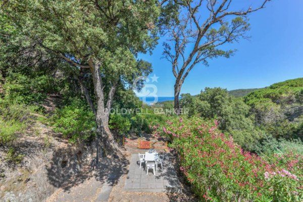 casa indipendente in vendita a Marciana
