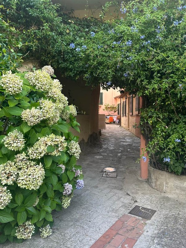 appartamento in vendita a Marciana