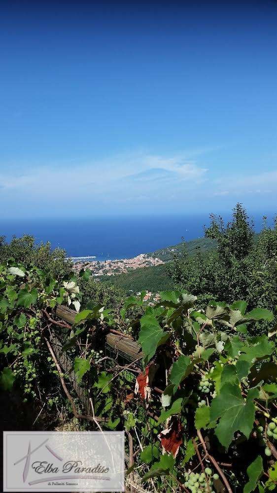 monolocale in vendita a Marciana