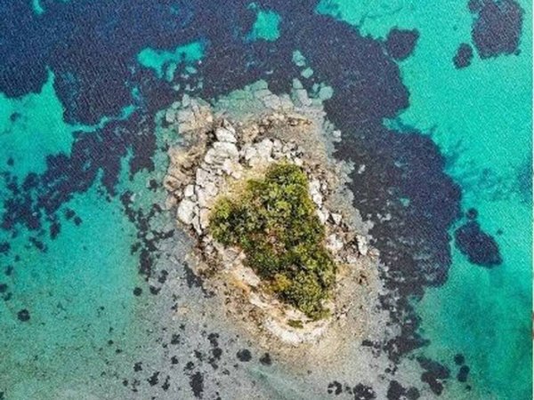 negozio in vendita a Marciana