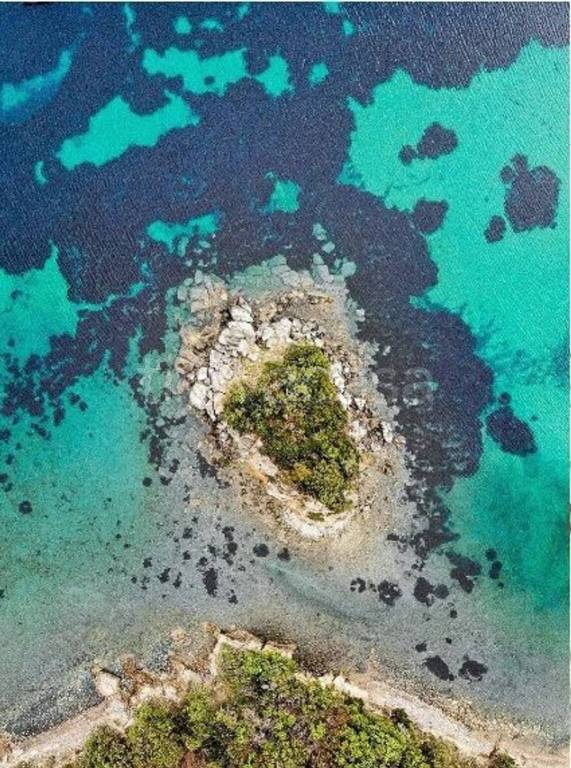 negozio in vendita a Marciana