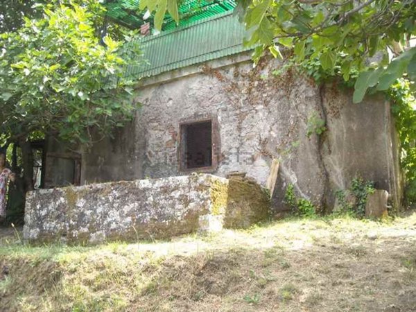 pentavano in vendita a Marciana