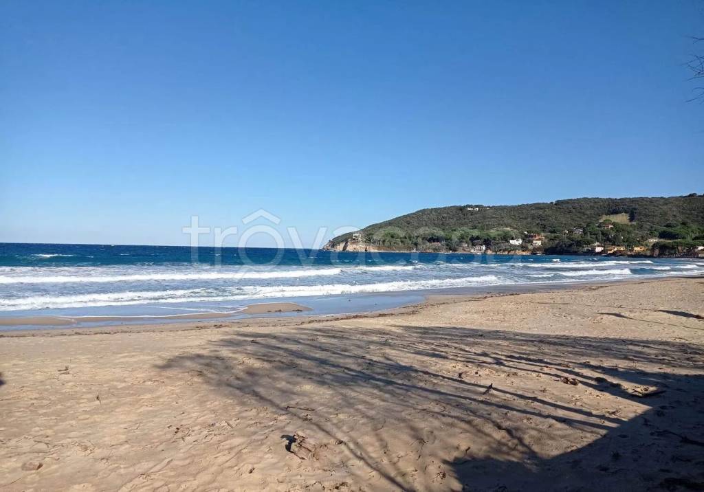 appartamento in vendita a Marciana