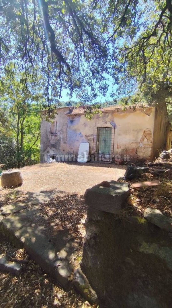 esavano in vendita a Marciana