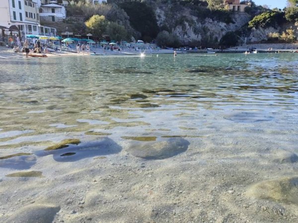 intera palazzina in vendita a Marciana