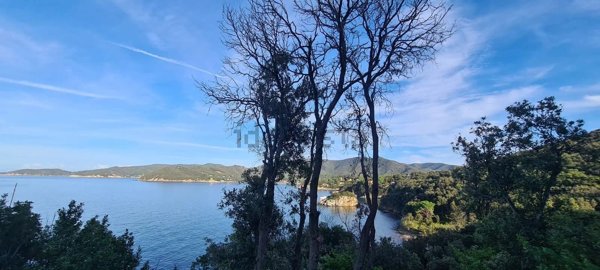 casale in vendita a Marciana