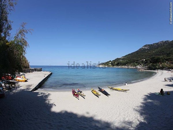 appartamento in vendita a Marciana