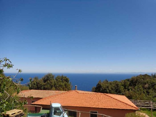 appartamento in vendita a Marciana