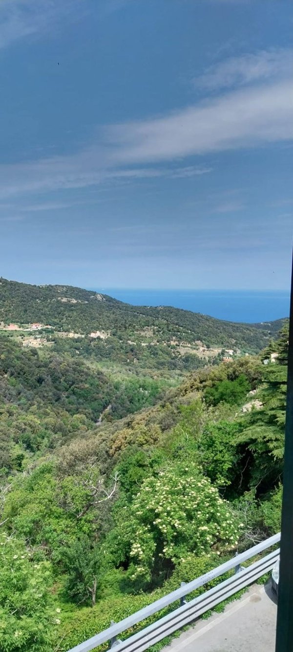 appartamento in vendita a Marciana
