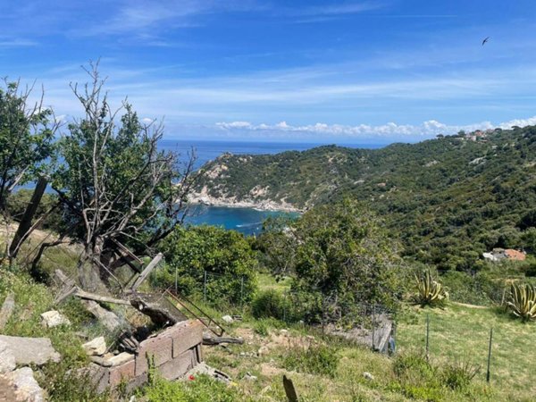 terreno agricolo in vendita a Marciana