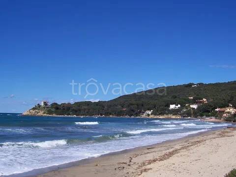 appartamento in vendita a Marciana