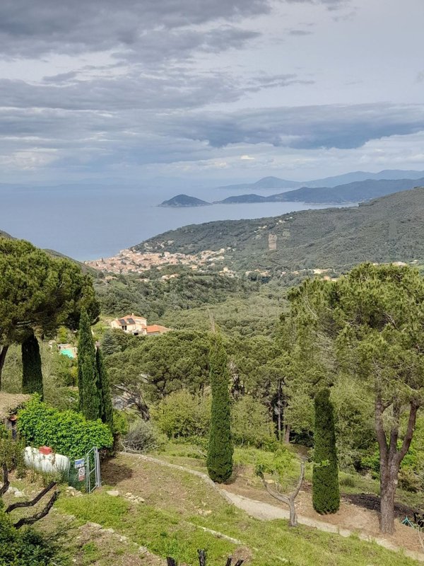 casa semindipendente in vendita a Marciana Marina