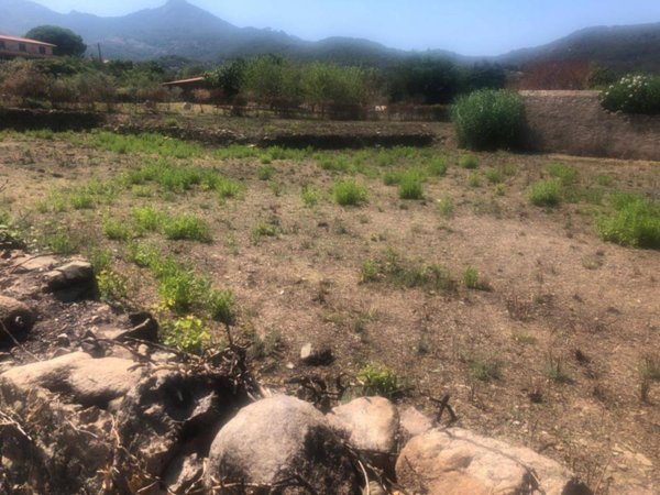 terreno agricolo in vendita a Marciana Marina