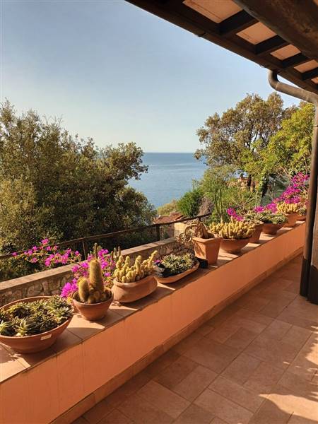 casa indipendente in vendita a Marciana Marina