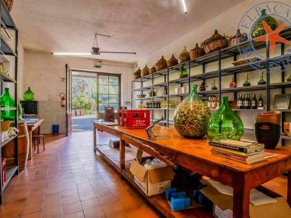 casa semindipendente in vendita a Marciana Marina