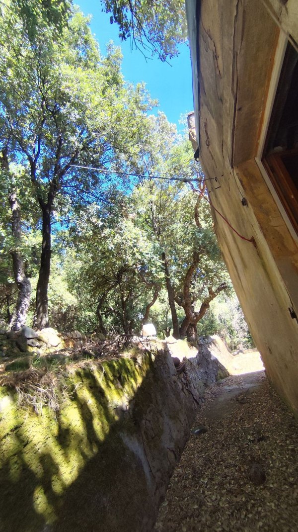 casale in vendita a Marciana Marina