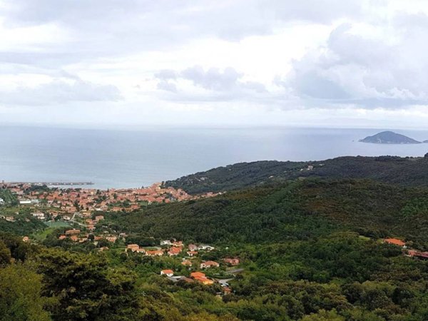 terreno agricolo in vendita a Marciana Marina