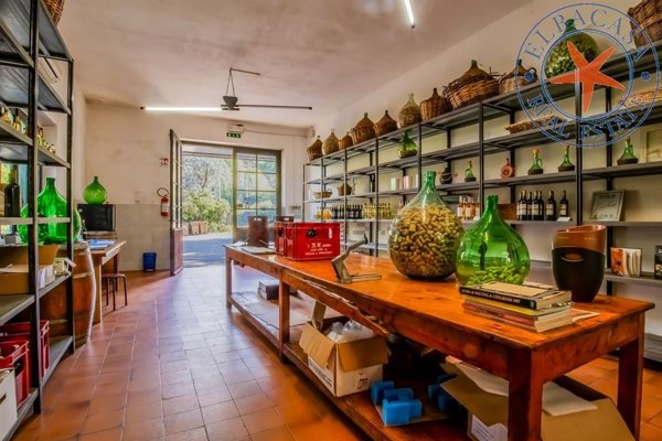 casa semindipendente in vendita a Marciana Marina