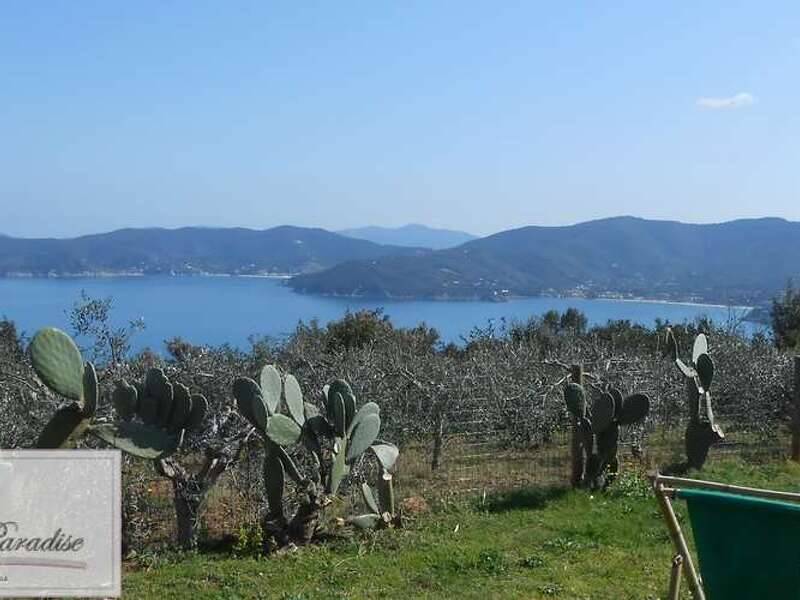 casa indipendente in vendita a Marciana Marina