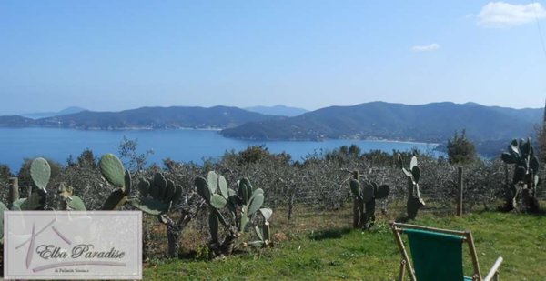 casa indipendente in vendita a Marciana Marina