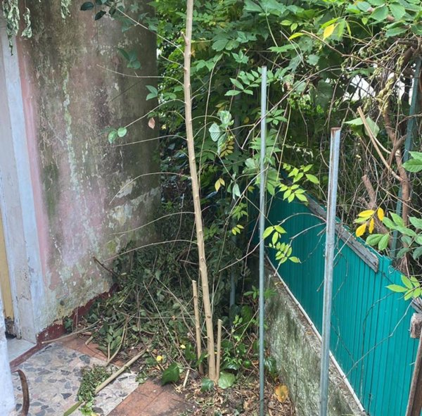 appartamento in vendita a Marciana Marina