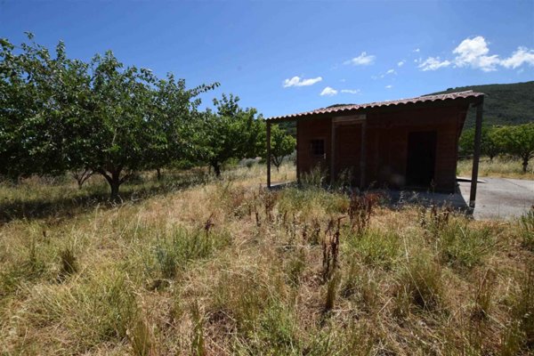 ufficio in vendita a Marciana Marina