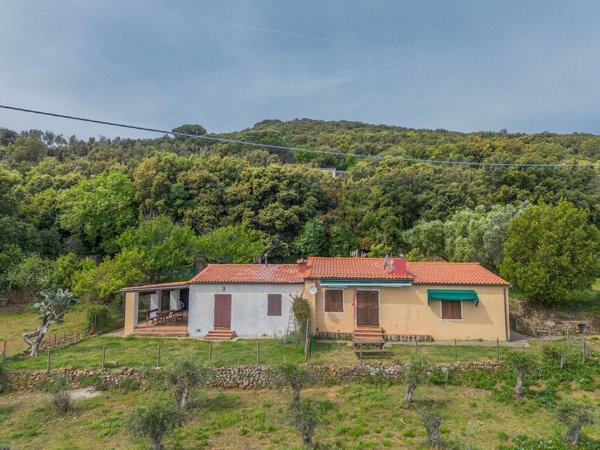 esavano in vendita a Marciana Marina