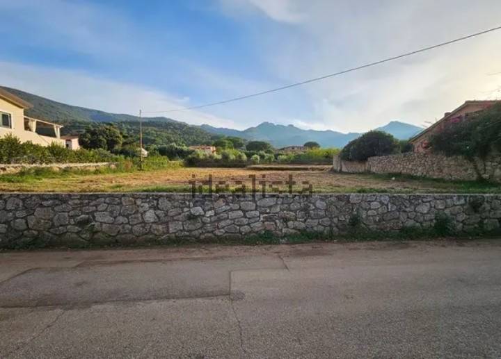 terreno agricolo in vendita a Marciana Marina