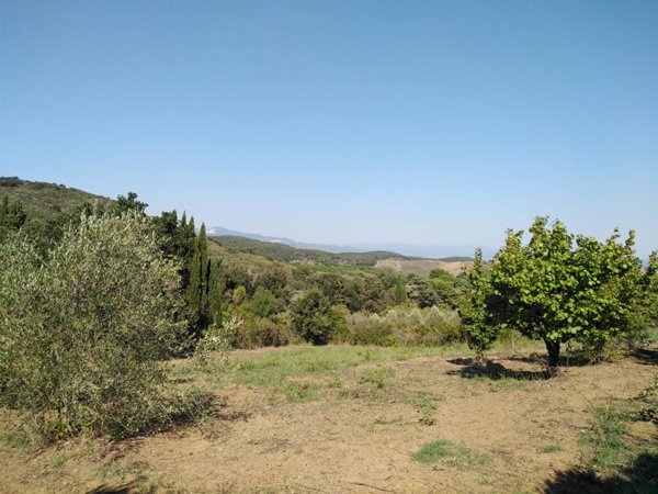 terreno agricolo in vendita a Piombino in zona Fiorentina