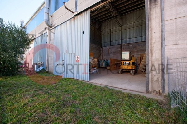 appartamento in vendita a Piombino