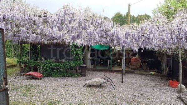 terreno agricolo in vendita a Piombino in zona Baratti