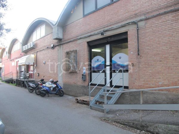 negozio in vendita a Piombino