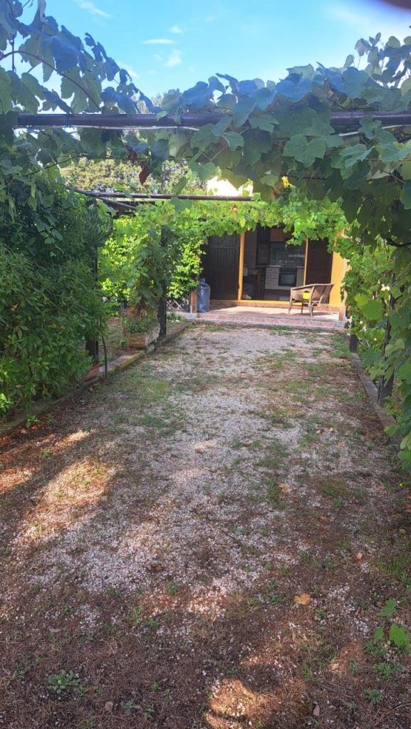 negozio in vendita a Piombino in zona Baratti