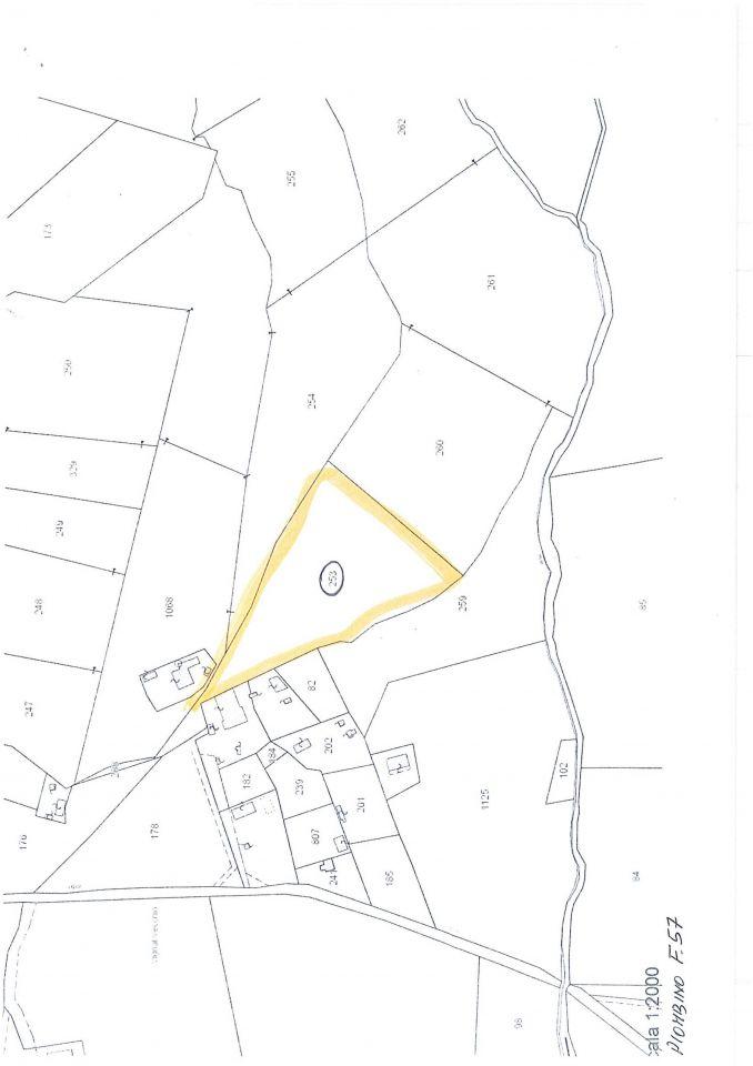 negozio in vendita a Piombino