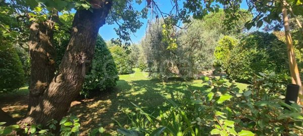 terreno agricolo in vendita a Piombino in zona Fiorentina